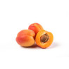 abricots rouge du roussillons