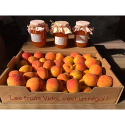 abricots rouge du roussillons